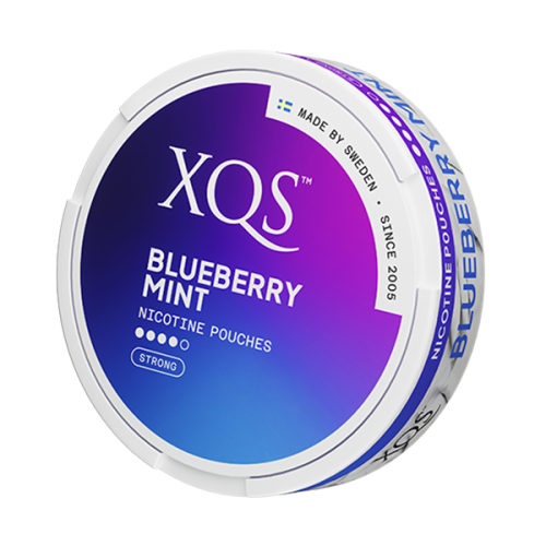 XQS Blueberry Mint 10mg/sachet