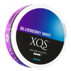XQS Blåbær og mynte 10 mg/sachet
