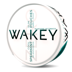 ENERGY TASCHEN WAKEY Spearmint Cool 0 mg