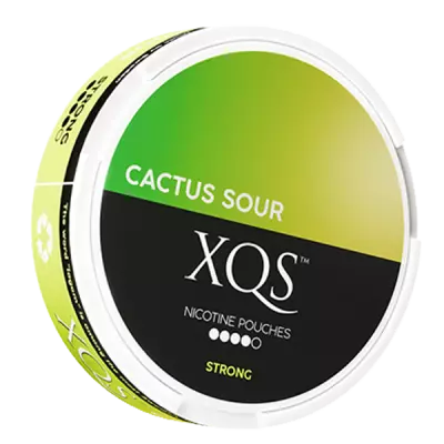 pouch fruity nicotine with cactus and lime by XQS