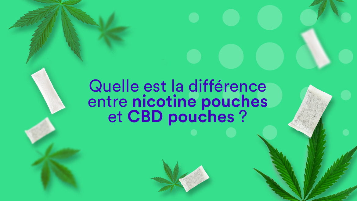 Nicotine pouches and CBD pouches : what differences ?