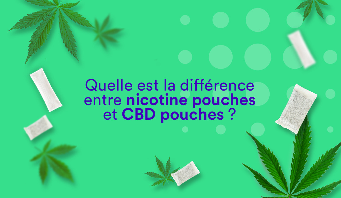 Nicotine pouches et CBD pouches : quelles différences ?