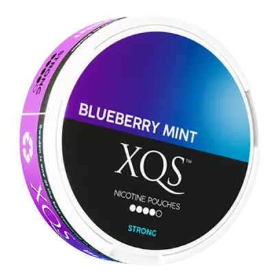 Blueberry Mint Strong, en fruktig nikotinpose fra XQS.