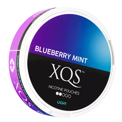 XQS blåbärsmint light är den bäst säljande nikotinpåsen i år